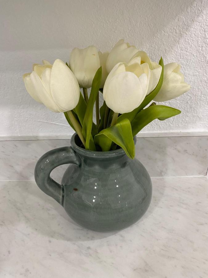 Charming City Bungalow Jacksonville Ngoại thất bức ảnh